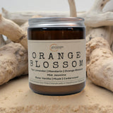 Orange Blossom  –  Citrus  & Fruity