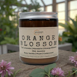 Orange Blossom  –  Citrus  & Fruity