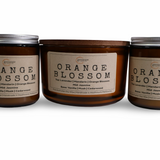 Orange Blossom  –  Citrus  & Fruity