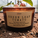 Green Leaf Tomato candle | herbaceous, grassy, weed
