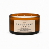 Green Leaf Tomato candle | Herbaceous, Grassy, Weed