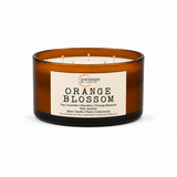 Orange Blossom Candle | Orange blossom, jasmine, vanilla