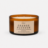 Orange Blossom Candle | Orange blossom, jasmine, vanilla