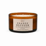 Orange Blossom Candle | Orange blossom, jasmine, vanilla