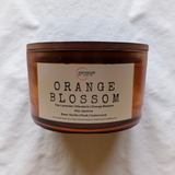Orange Blossom  –  Citrus  & Fruity
