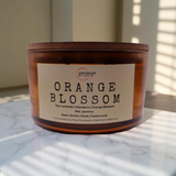 Orange Blossom  –  Citrus  & Fruity